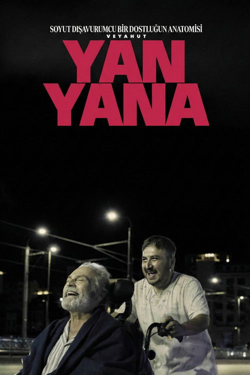 Film: Soyut Dışavurumcu Bir Dostluğun Anatomisi Veyahut Yan Yana