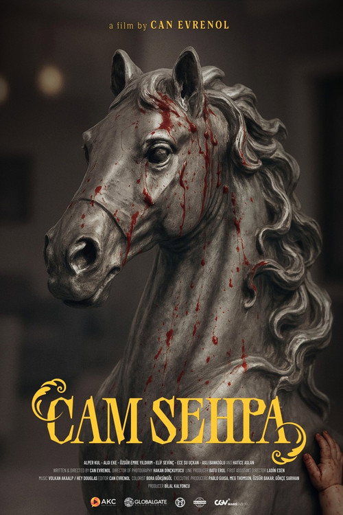 Film: Cam Sehpa
